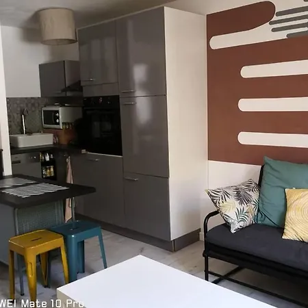 Avec Jardin Privatif Centre Apartment