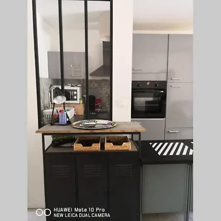 Avec Jardin Privatif Centre