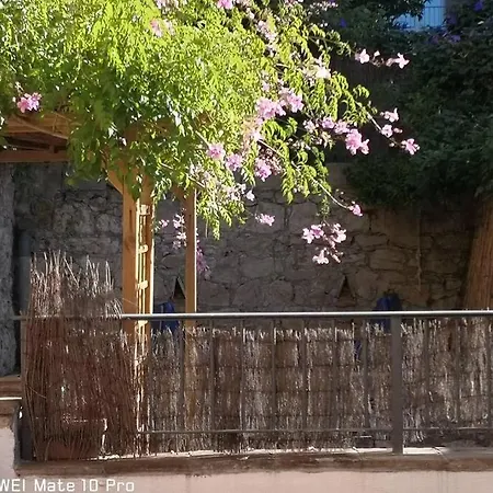 Avec Jardin Privatif Centre * Hyères