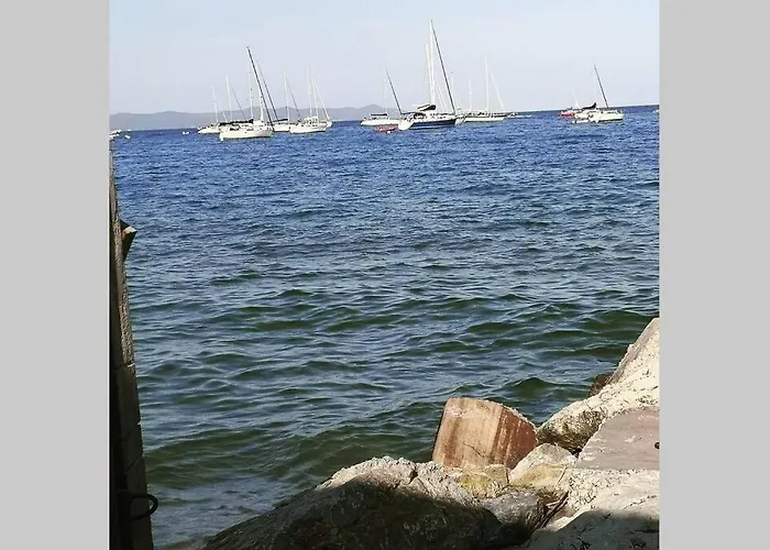 Avec Jardin Privatif Centre