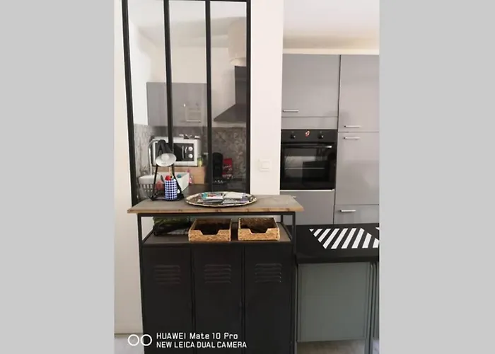 Avec Jardin Privatif Centre