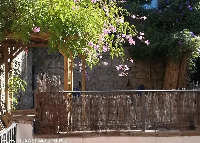 Avec Jardin Privatif Centre * 耶尔